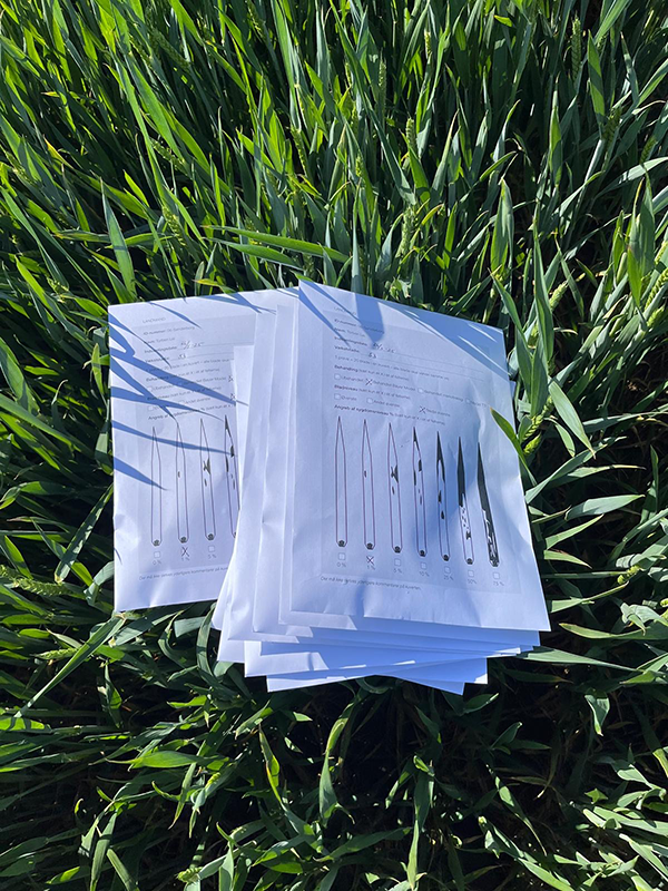 Kuverter der ligger i en hvedemark